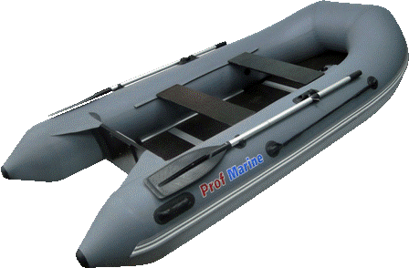 ProfMarine PM 300 CL ProfMarine PM 300 CL